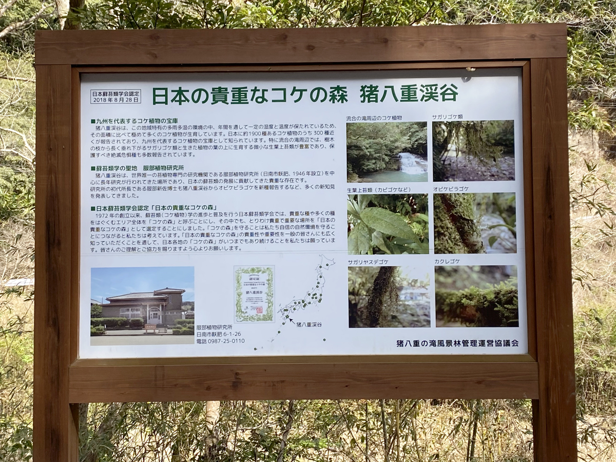 日本の貴重なコケの森 猪八重渓谷 看板