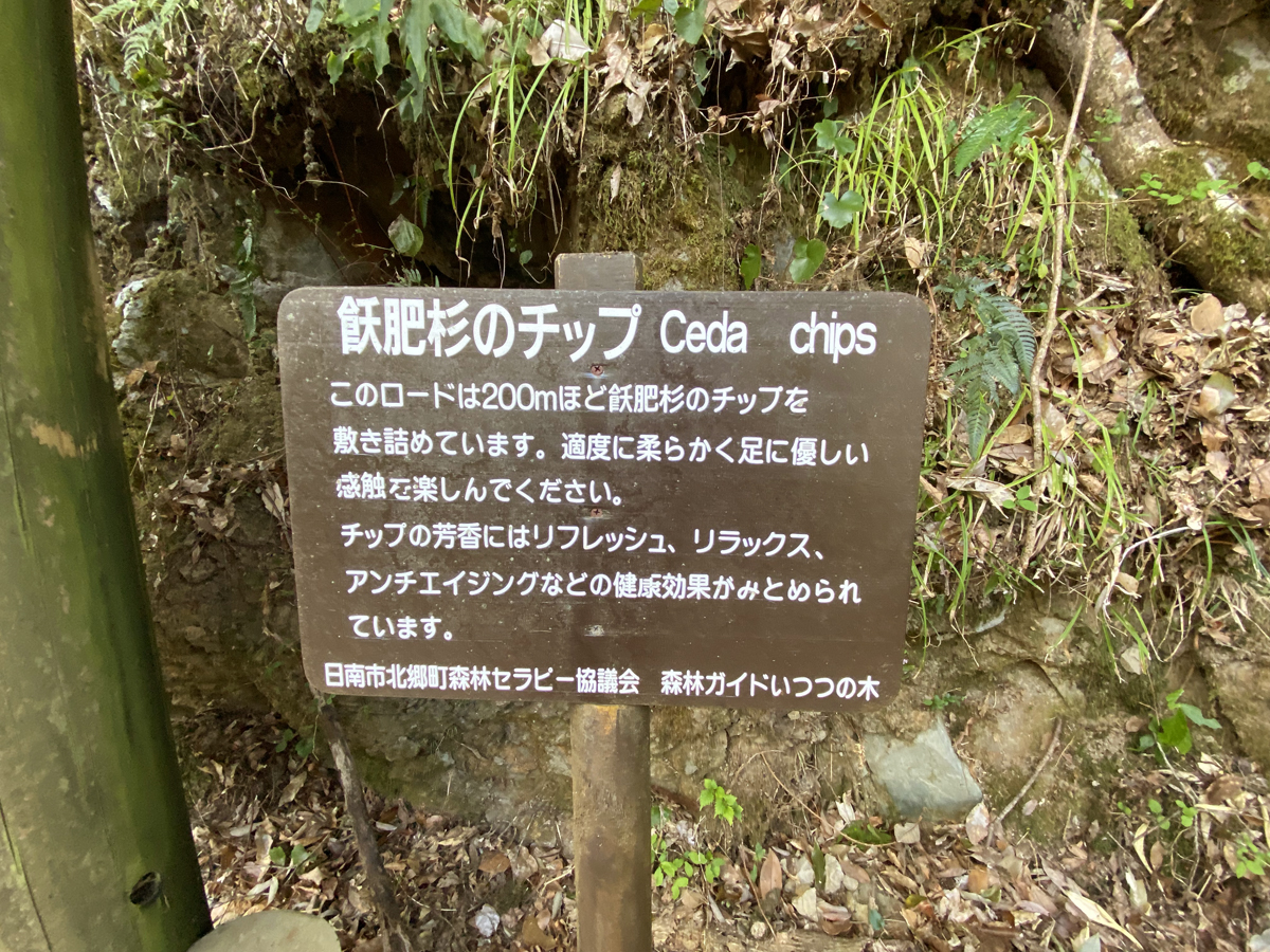 宮崎観光スポット 猪八重渓谷 飫肥杉チップ2