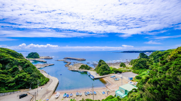 恵屋|地元で店長候補として働く