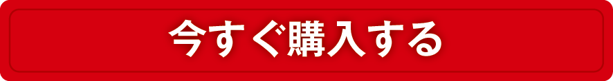 今すぐ購入する